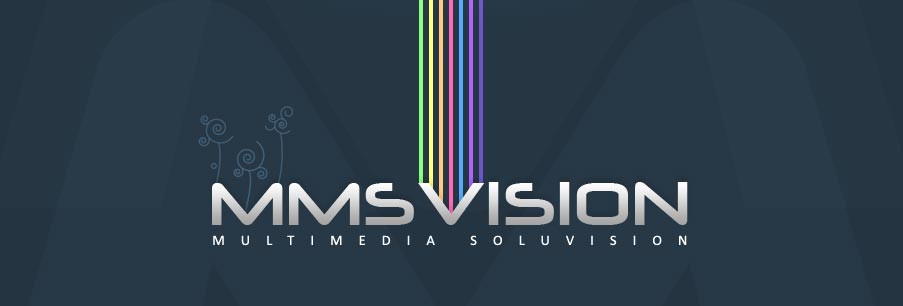 mmsvision logo